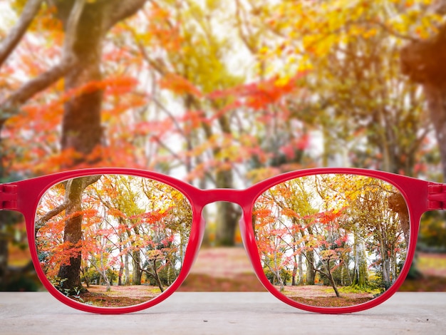 Rode glazen lense over de achtergrond van het de herfstpark.