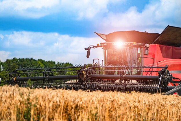 Rode graanoogst combineert op een zonnige dag Geel veld met graan Landbouwtechniek werkt in het veld Close-up