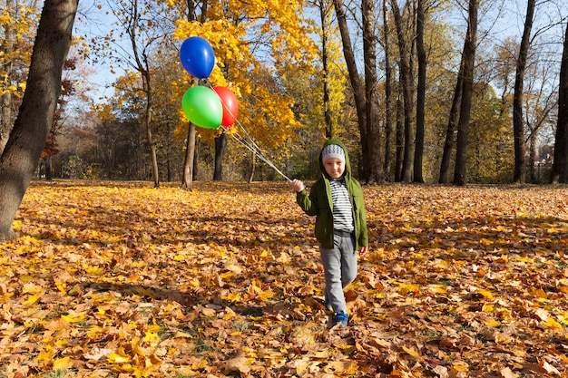 Rode groene en blauwe ballonnen met helium op een achtergrond van gele bomen in herfst park, de ballonnen worden bewaard en de jongen loopt in het park