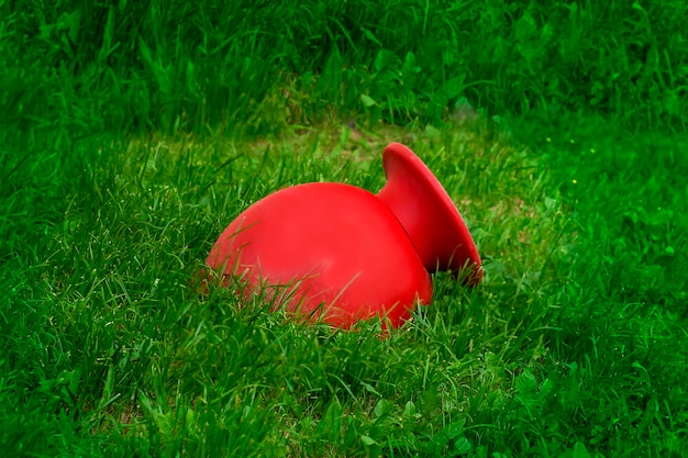 Rode grote vaas liggend in het gras decor