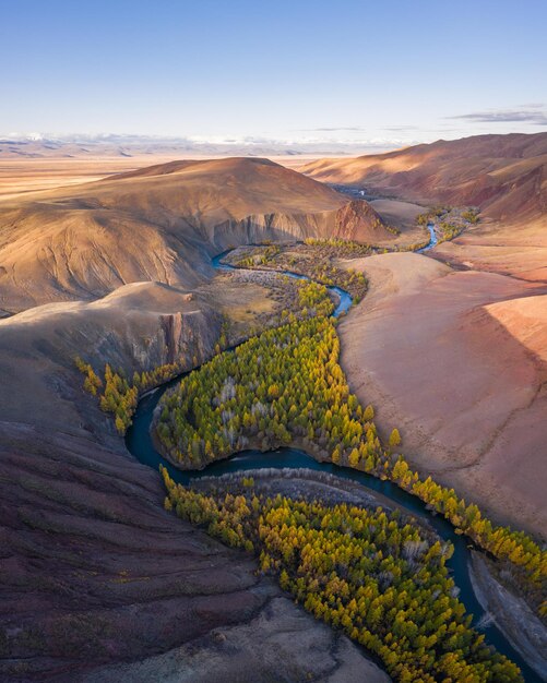 Rode heuvels van klei, bergen, lariksen en meanders van de rivier in de herfst. Luchtfoto. Kokorya. Het Altai-gebergte, Rusland.