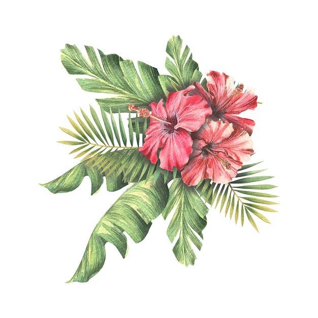 Rode hibiscus bloemen met tropische palmbladeren van banaan en kokosnoot Aquarel illustratie Samenstelling van een grote set CUBA Voor het ontwerpen en decoreren van ansichtkaarten posters souvenirs