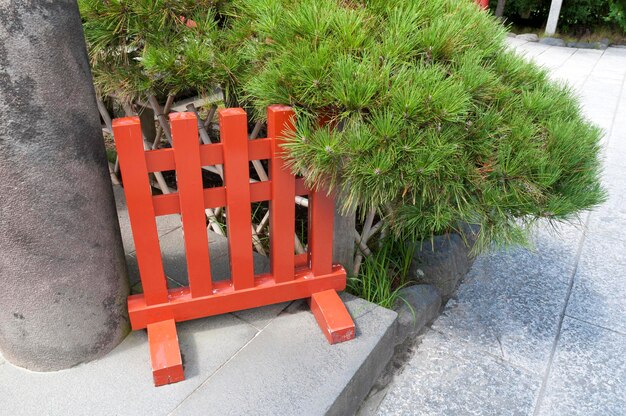 Rode houten omheining dicht bij de dennenboomtak
