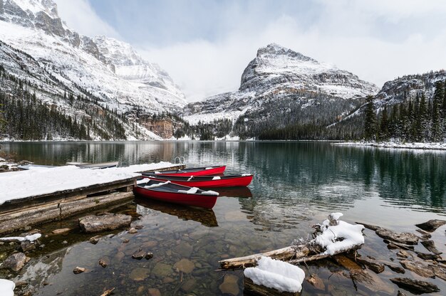 Rode kano's geparkeerd in besneeuwde vallei op houten pier. Lake O'hara, nationaal park Yoho, Canada