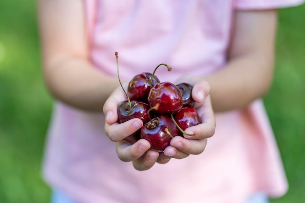 Rode kersen kinderhanden