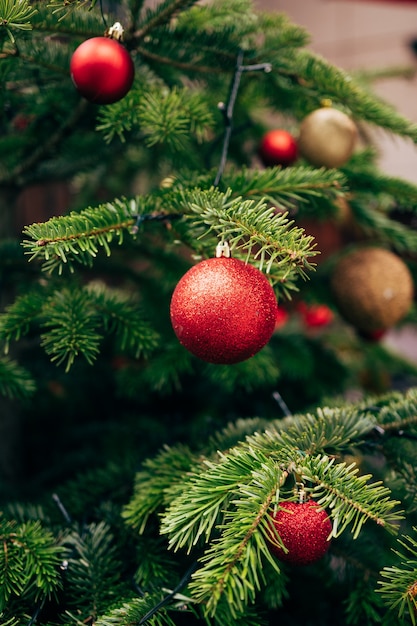 Rode kerstbal in schittert op dennentakken.