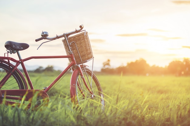 Rode klassieke stijlfiets van Japan bij het groene gebied