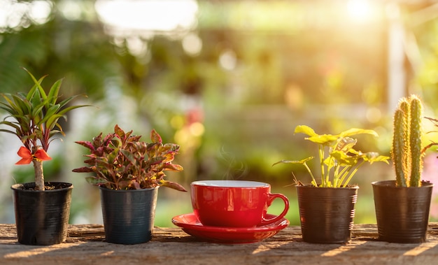 Rode koffiekop op houten de aardlicht van de lijstochtend in tuin