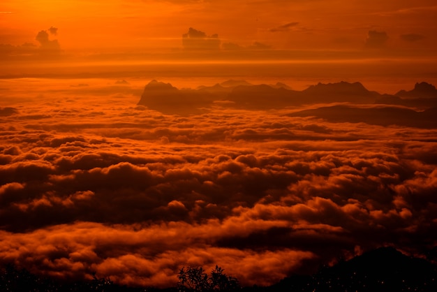 Rode mistige mist van mist van de hemelzonsopgang behandelde bos Dramatische landschapsberg