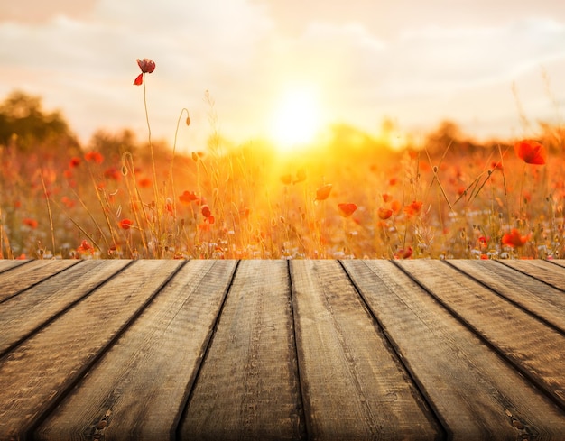 Rode papaver beroep bloemenveld en leeg houten bureau