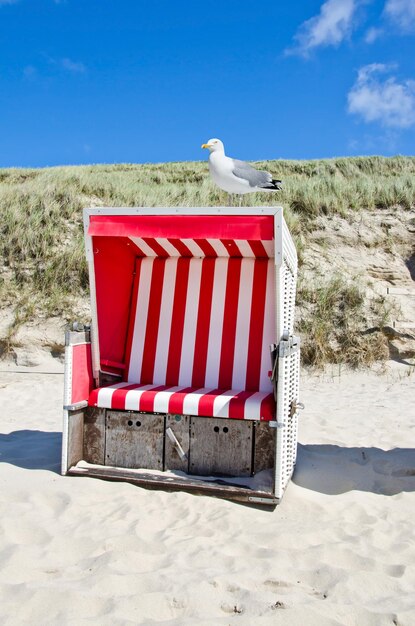 Foto rode paraplu op het strand.