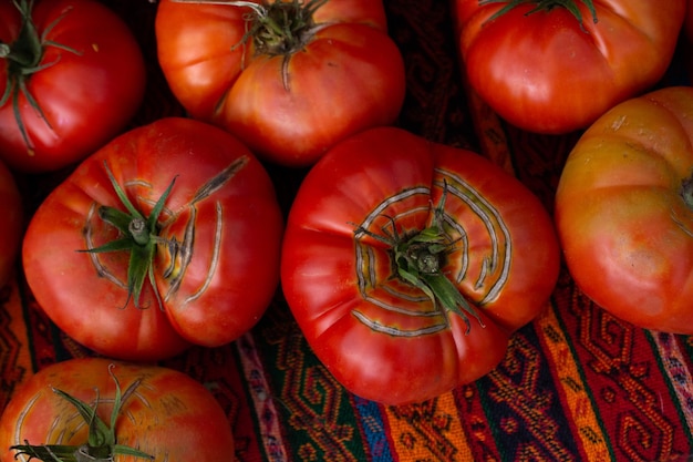 Rode rijpe smakelijke verse heerlijke tomatengroenten in de bazaarmarkt