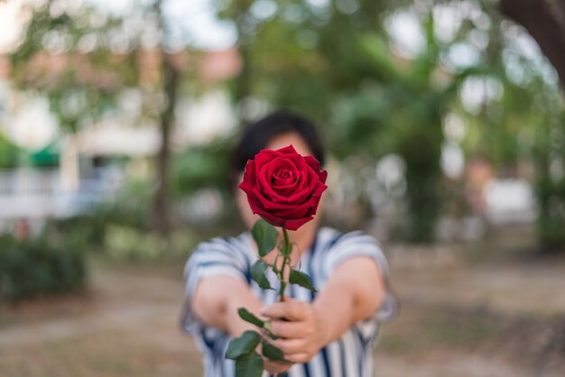 Rode roos bloem aard mooie bloemen uit de tuin en de menselijke hand met rode roos