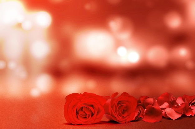 Rode roos en rozenblaadjes met vage lichte achtergrond. Valentijnsdag