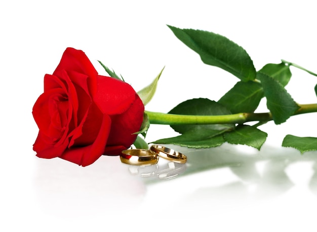 Rode roos en trouwringen