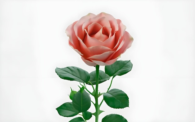 rode roos geïsoleerd op een witte achtergrond