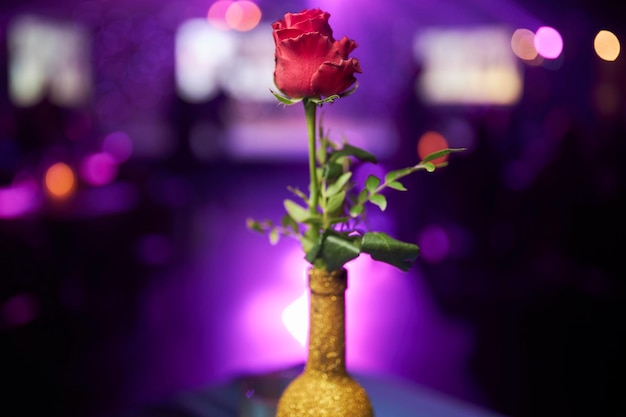 Rode roos in een vaas op een wazige paarse achtergrond