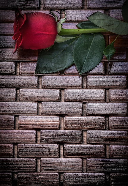 Rode roos op rieten houten matten kopie ruimte