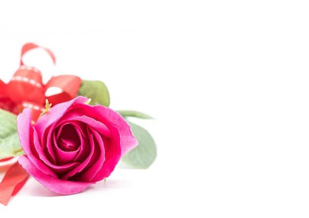 Rode roos voor Valentijnsdag en liefste dag, geïsoleerd op een witte achtergrond