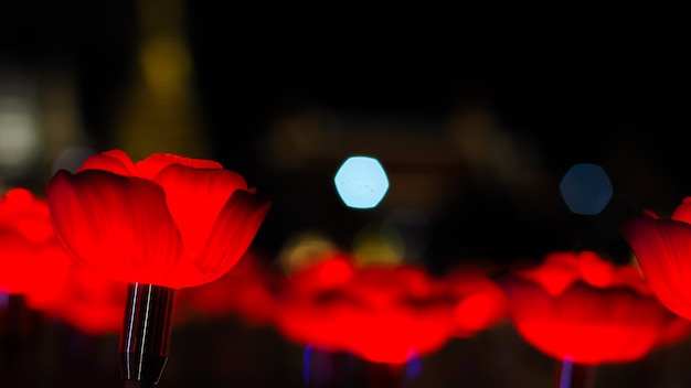 Rode rozen op abstracte bokeh achtergrond voor liefde Valentijnsdag wenskaart