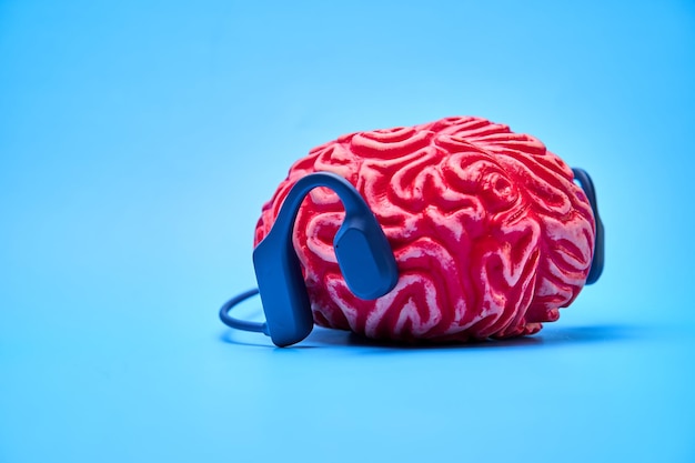 Foto rode rubberen hersenen met koptelefoon op een blauw oppervlak brain rest concept