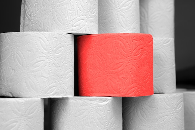 Rode speciale rol elite toiletpapier tussen de vele gewone rollen toiletpapier. Conceptkenmerken, elitarisme. In tegenstelling tot de andere.