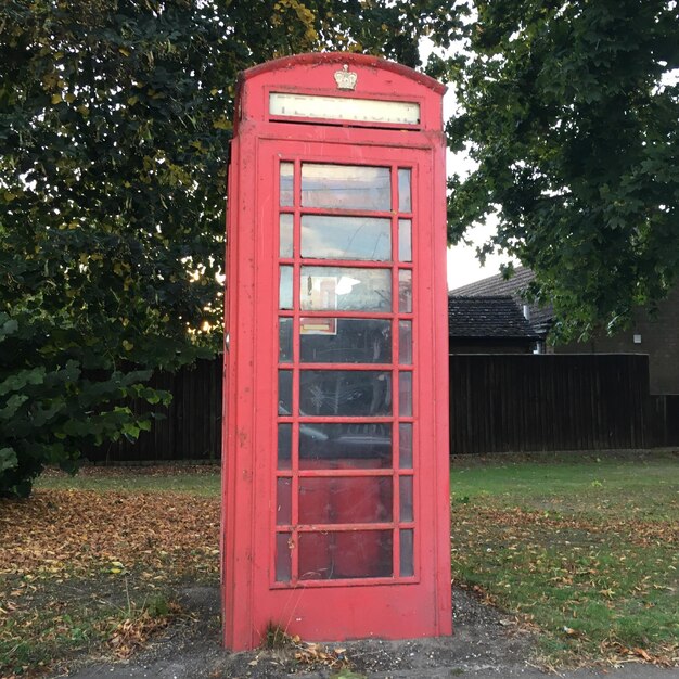 Rode telefooncel bij bomen in het park.