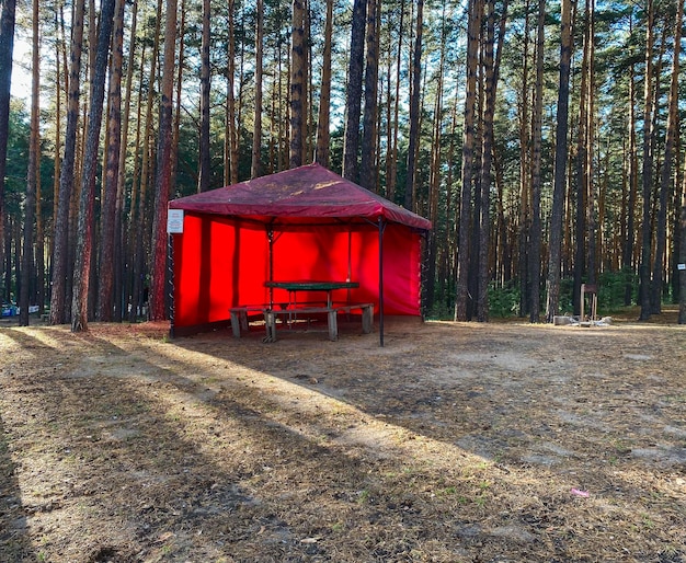 Rode tent in het bos.