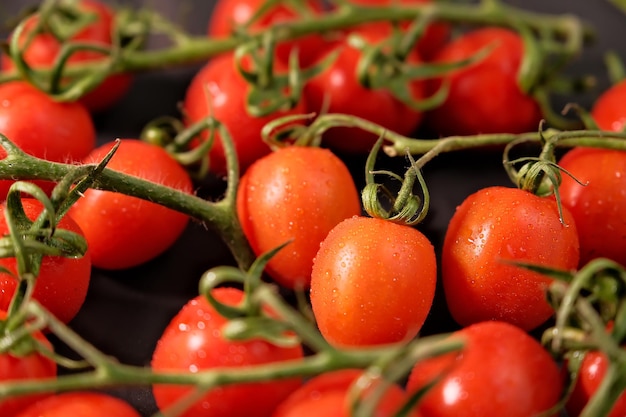 rode tomaten op een tak druppels water close-up