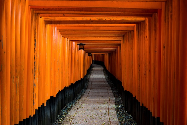 Rode Tori-poort bij Heiligdom van Fushimi Inari in Kyoto, Japan.