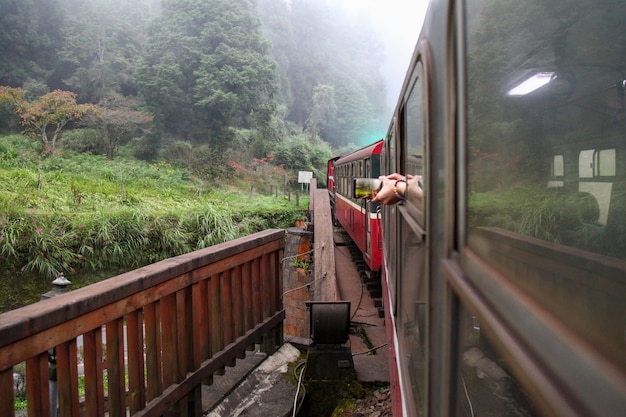 Rode trein rijdt in mistige dag op alishan mountain, taiwan.