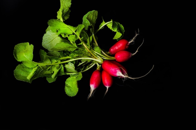 Rode tuin radijs geïsoleerd op zwarte achtergrond