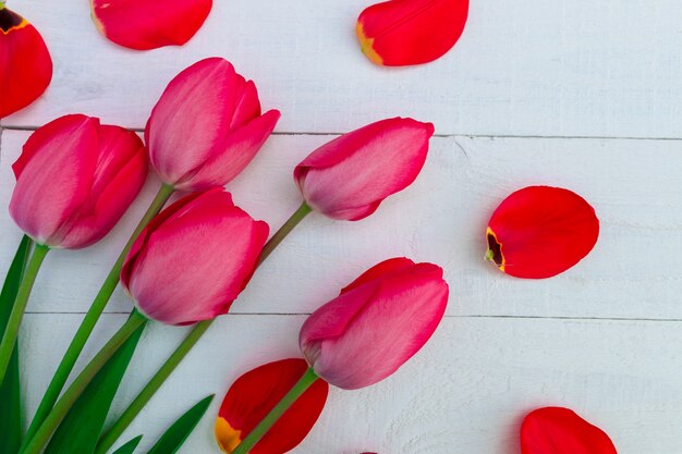 Rode tulpen op witte houten achtergrond. Bovenaanzicht. Kopieer ruimte. Wenskaart.