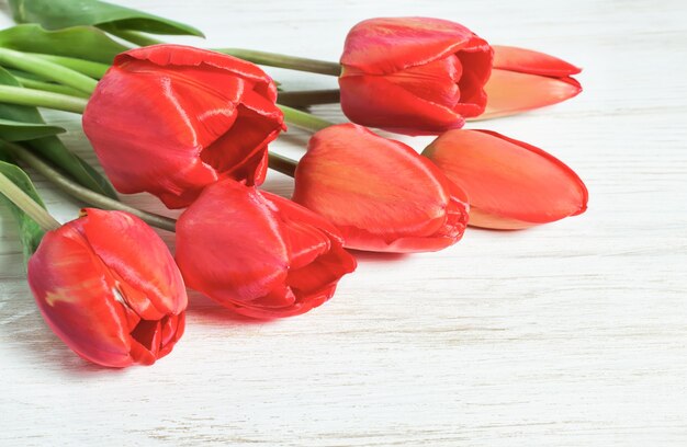 Rode tulpen op witte houten tafel. Bovenaanzicht.