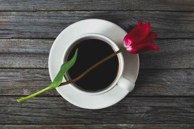 Rode tulpenbloem bovenop koffiekop, liefdeskoffieconcept, romantisch dromerig stilleven still