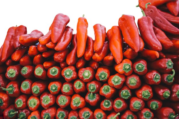 Rode verse pepers geïsoleerd op rode achtergrond Kruidig voedselingrediënt Verse levendige rode peper achtergrond