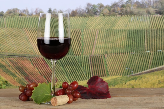 Rode wijn in een glas in de wijngaarden