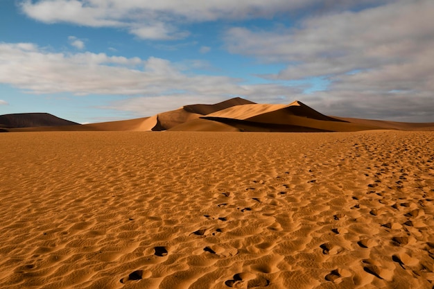 Rode zandduinen van Namibië