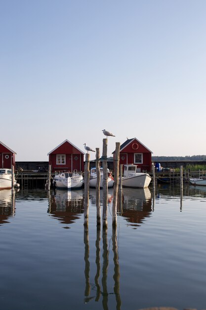 Foto rodvig - denemarken