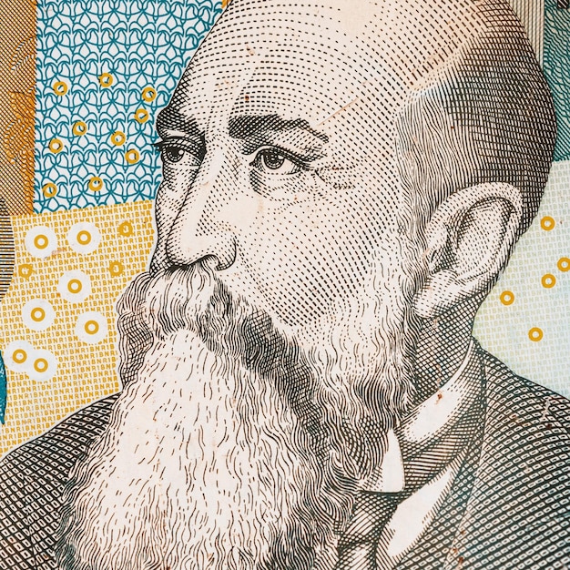 Roemeense LEI-valuta Bankbiljet RON-geld Europese valuta