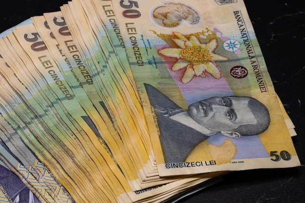 Foto roemeense lei-valuta europa inflatie lei-geld