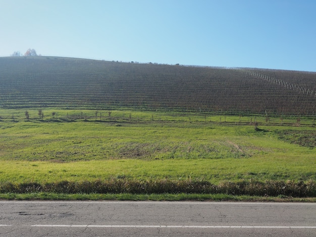 Roero hills in Piedmont