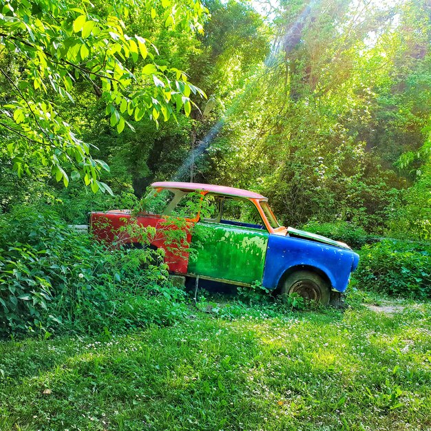 Foto roestig verlaten autowrak in de achtergrond van het bosbosspelontwikkelaar