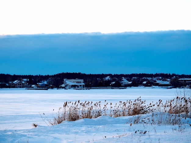 Rogge op winter rivieroever landschap achtergrond