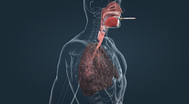 Roken irriteert de longen na verloop van tijd