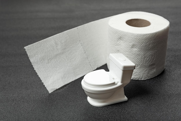 Rol wc-papier en kleine speelgoedtoiletpot op grijze achtergrond Hygiëneproducten voor het toilet