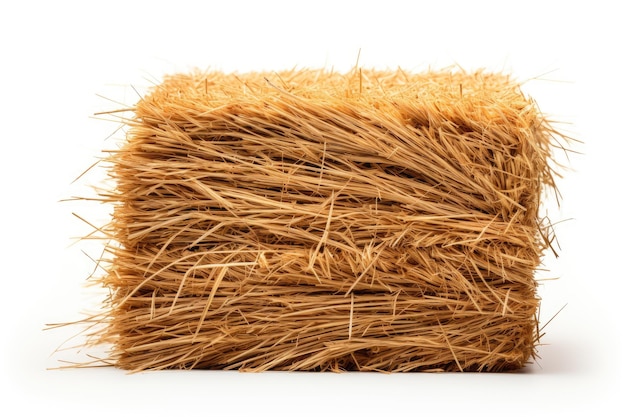 Roll of Hay on White Background A single roll of hay is placed prominently on a plain white background The cylindrical shape of the hay distinct with its dry texture visible under bright lighting