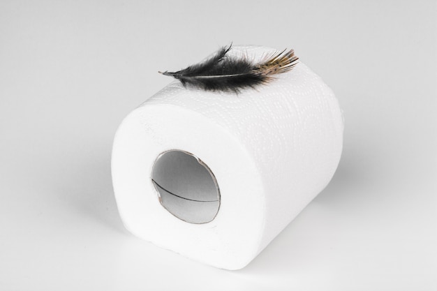 Roll of toilet paper and soft feather on color table 