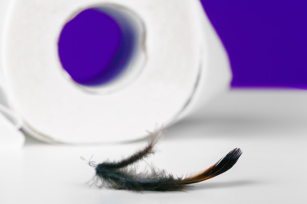 Roll of toilet paper and soft feather on color table