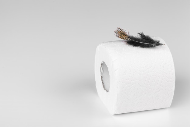 Roll of toilet paper and soft feather on color table 